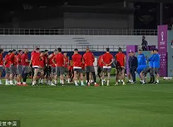 C7娱乐官方网站-塞尔维亚队力克头号种子，欧国联人气升温的简单介绍