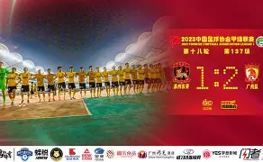 德累斯顿客场逆转，保级形势稍显乐观